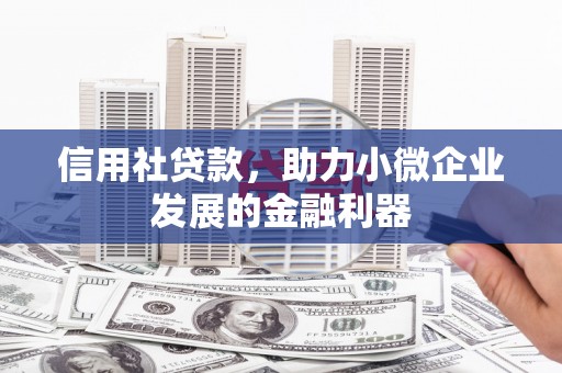 秀洲信用社贷款，助力小微企业发展的金融利器