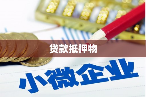 秀洲贷款抵押物