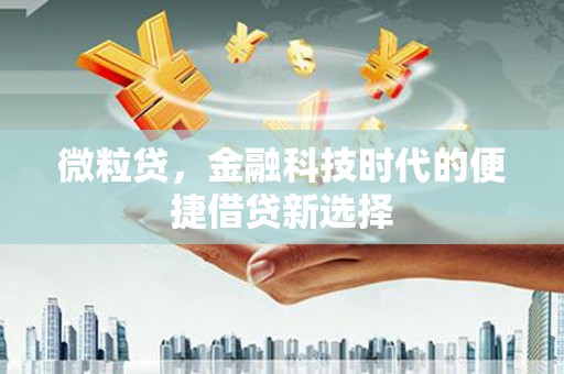 秀洲微粒贷，金融科技时代的便捷借贷新选择