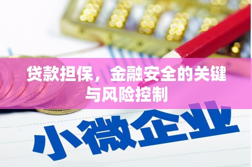 秀洲贷款担保，金融安全的关键与风险控制