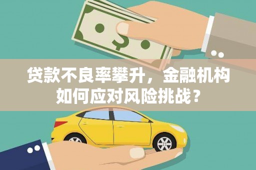 秀洲贷款不良率攀升，金融机构如何应对风险挑战？
