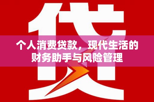 秀洲个人消费贷款，现代生活的财务助手与风险管理