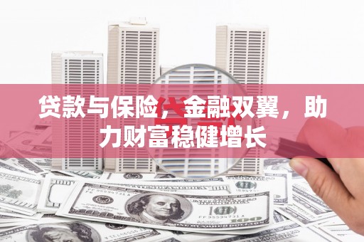 秀洲贷款与保险，金融双翼，助力财富稳健增长