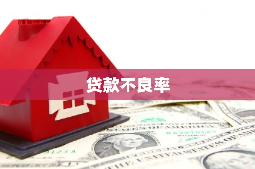 秀洲贷款不良率