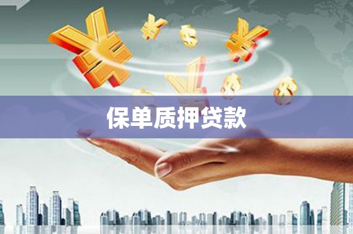 秀洲保单质押贷款