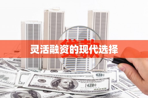 秀洲灵活融资的现代选择