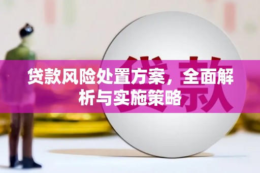 秀洲贷款风险处置方案，全面解析与实施策略