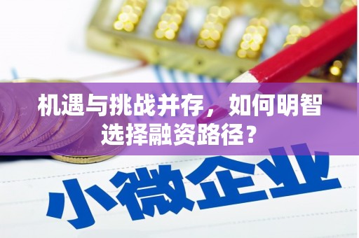 秀洲机遇与挑战并存，如何明智选择融资路径？